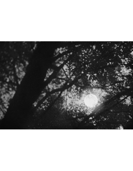 Lune noire, Christine Delory-Momberger©